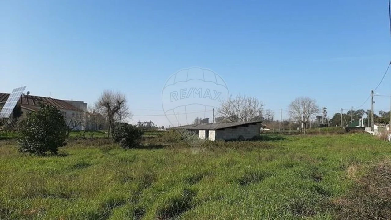 Terreno para Venda em Santa Comba Dão e Couto do Mosteiro Foto 5