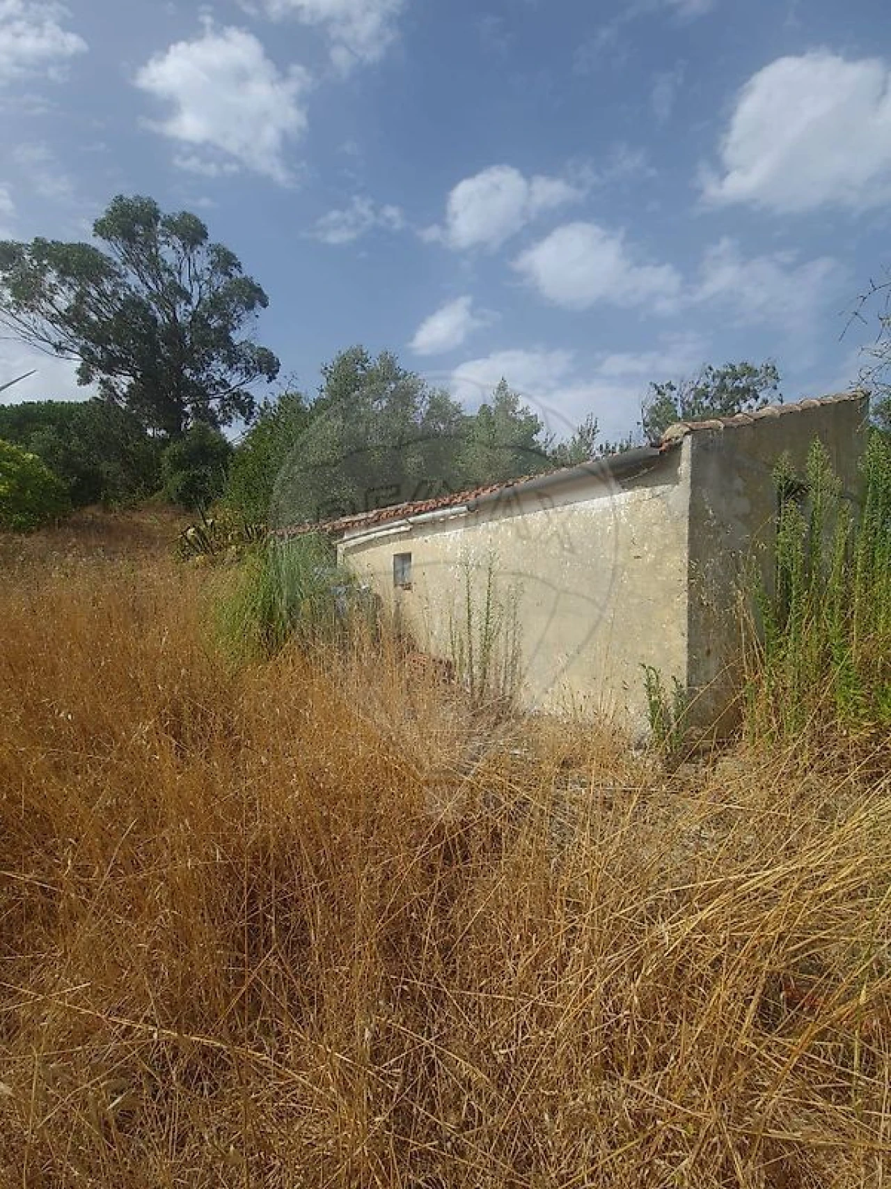 Terreno para Venda em Santa Maria, São Pedro e Matacães Foto 3