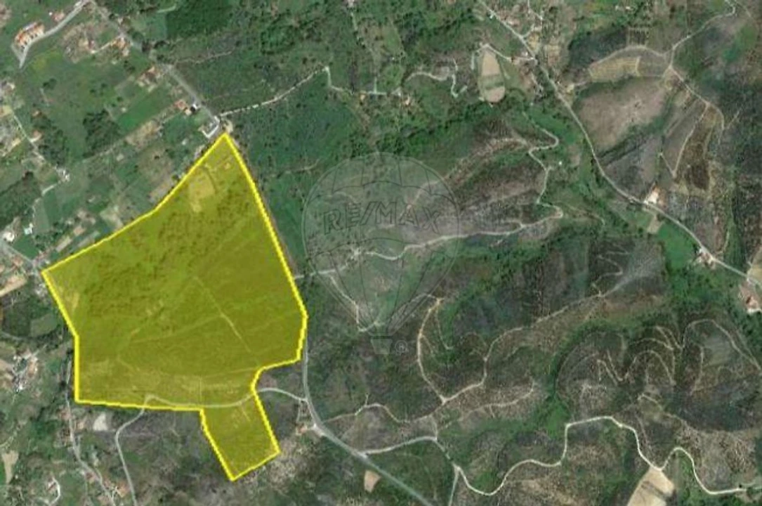 Terreno para Venda em Figueiró dos Vinhos e Bairradas Foto 3