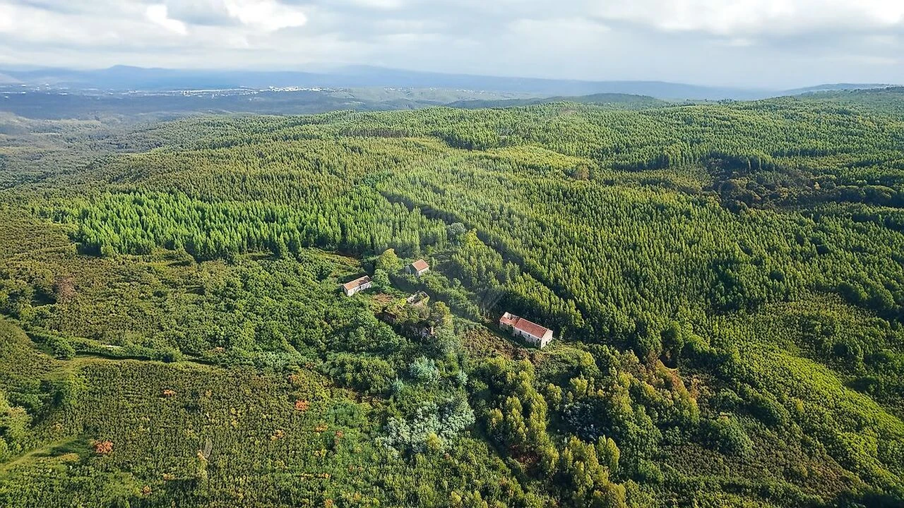 Terreno para Venda em Figueiró dos Vinhos e Bairradas Foto 15
