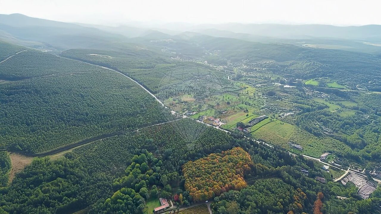 Terreno para Venda em Figueiró dos Vinhos e Bairradas Foto 16