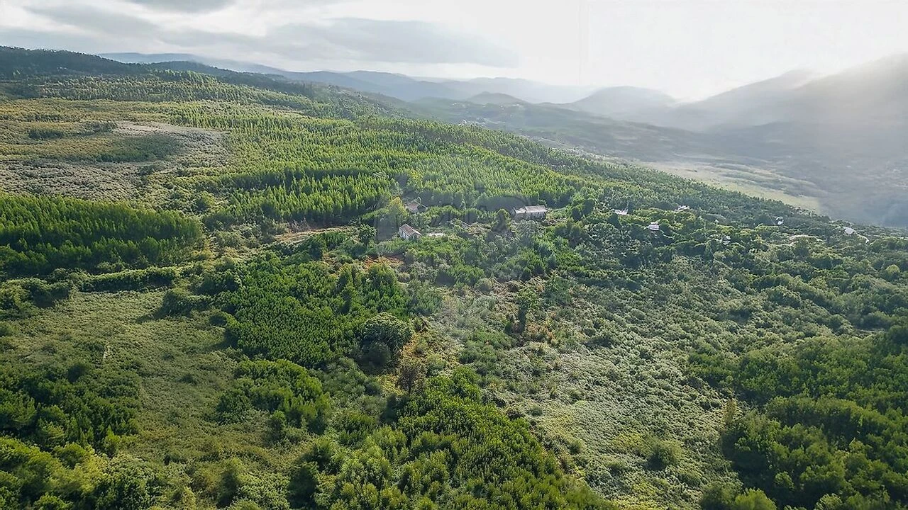 Terreno para Venda em Figueiró dos Vinhos e Bairradas Foto 14