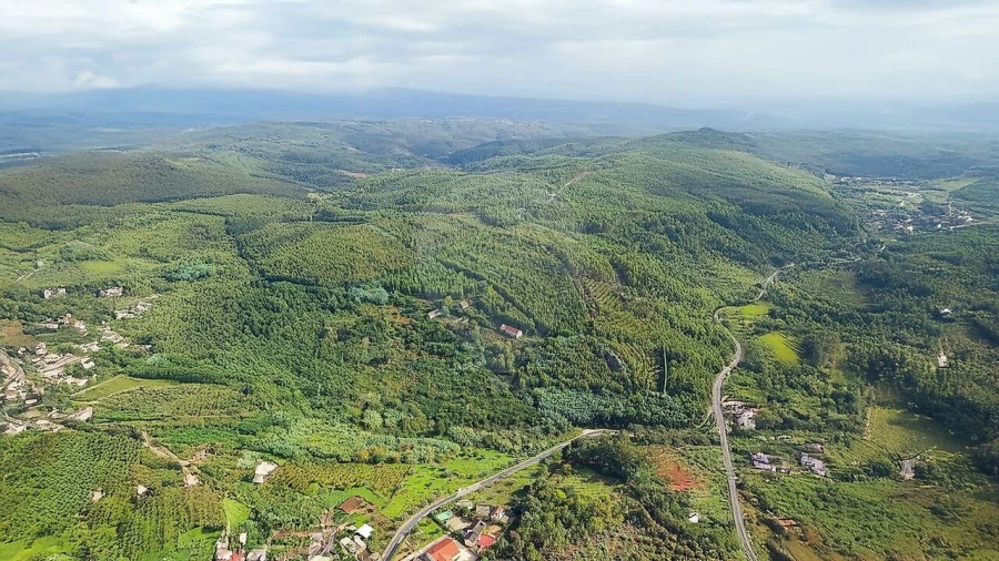 Terreno para Venda em Figueiró dos Vinhos e Bairradas Foto 17