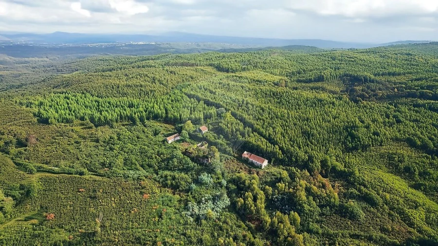 Terreno para Venda em Figueiró dos Vinhos e Bairradas Foto 15