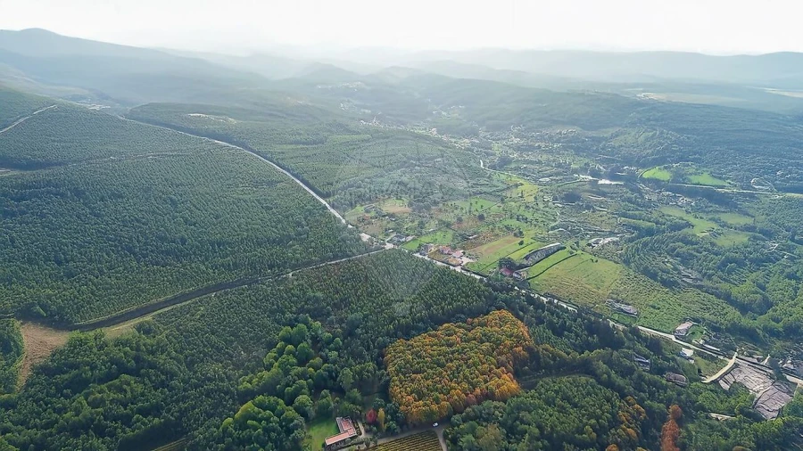 Terreno para Venda em Figueiró dos Vinhos e Bairradas Foto 16