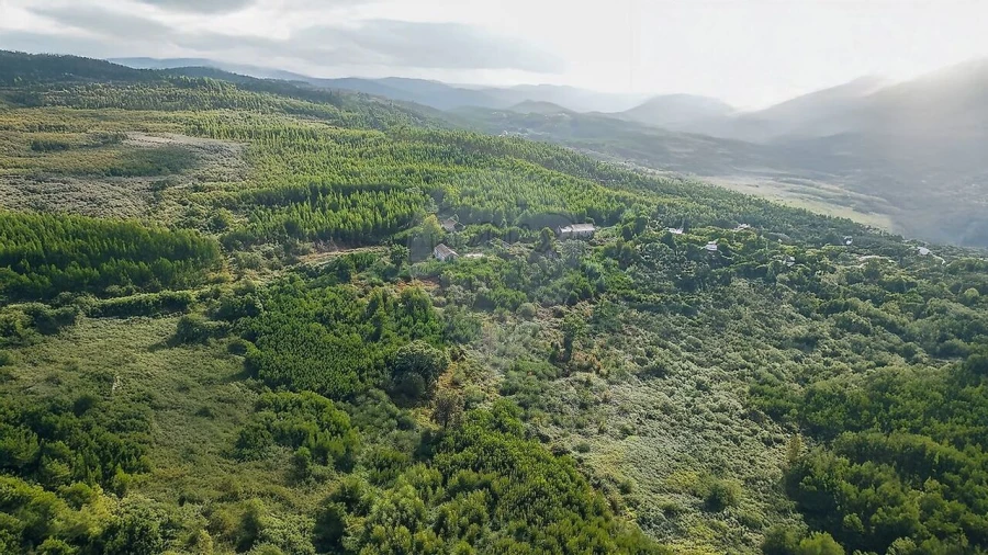 Terreno para Venda em Figueiró dos Vinhos e Bairradas Foto 14