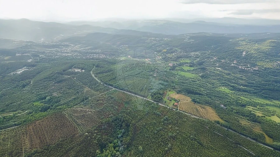 Terreno para Venda em Figueiró dos Vinhos e Bairradas Foto 20