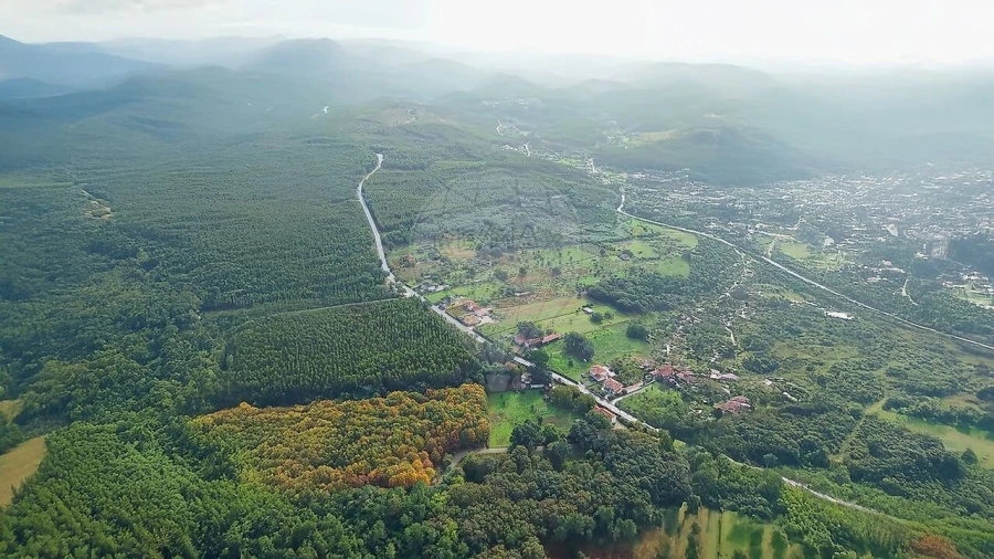 Terreno para Venda em Figueiró dos Vinhos e Bairradas Foto 19