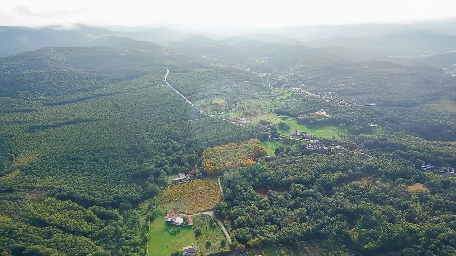 Terreno para Venda em Figueiró dos Vinhos e Bairradas Foto 18