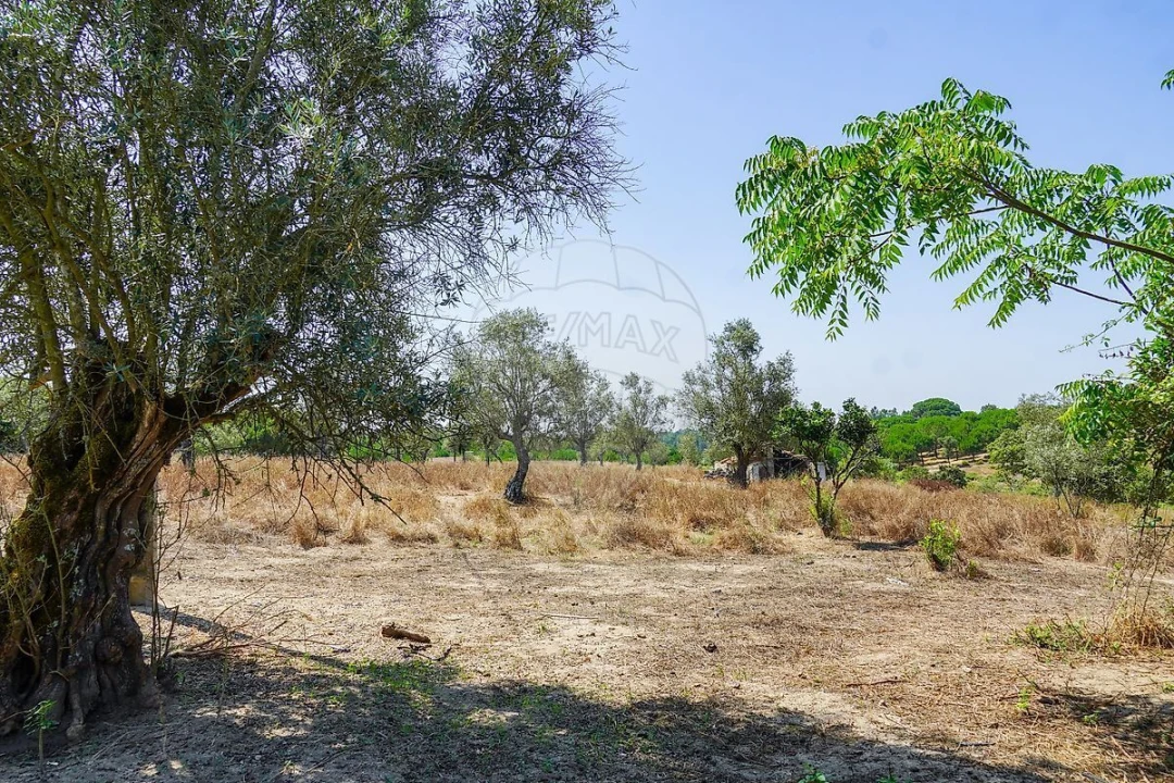 Quinta T5 para Venda em Cortiçadas de Lavre e Lavre Foto 10