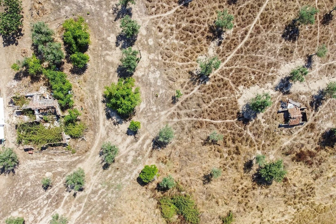 Quinta T5 para Venda em Cortiçadas de Lavre e Lavre Foto 4