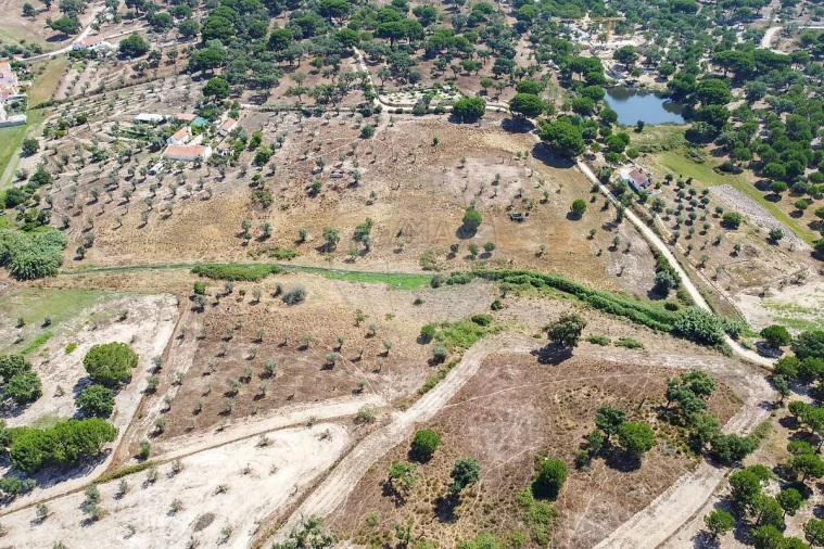 Quinta T5 para Venda em Cortiçadas de Lavre e Lavre Foto 9