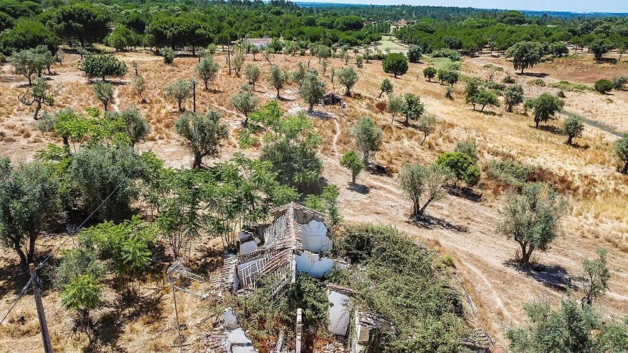 Quinta T5 para Venda em Cortiçadas de Lavre e Lavre Foto 3