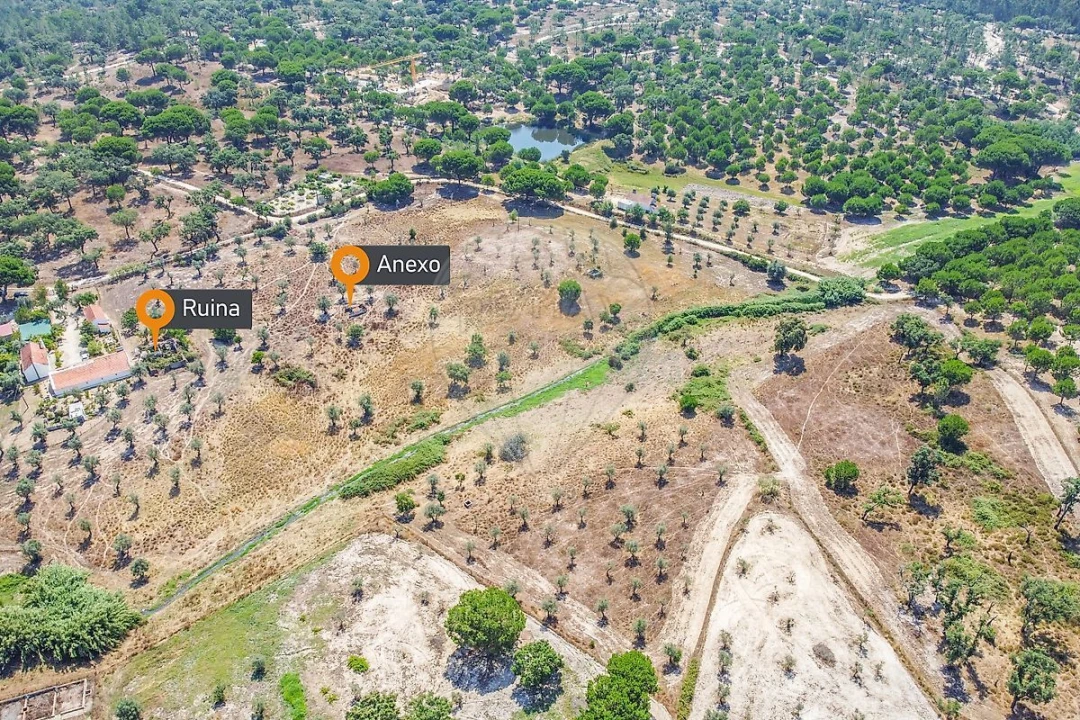 Quinta T5 para Venda em Cortiçadas de Lavre e Lavre Foto 1