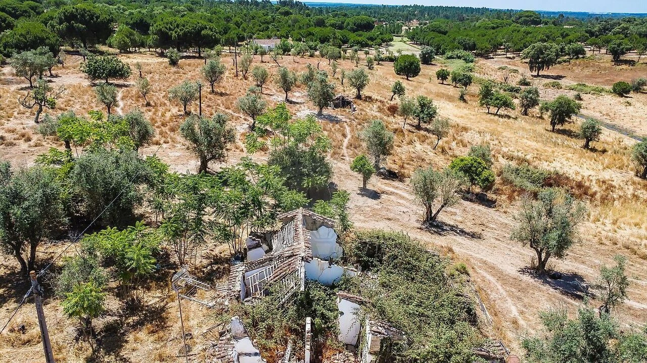 Quinta T5 para Venda em Cortiçadas de Lavre e Lavre Foto 3