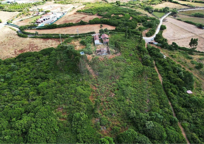 Terreno para Venda em Santo Antão e São Julião do Tojal Foto 7