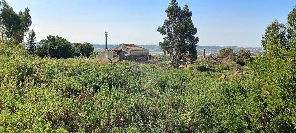 Terreno para Venda em Santo Antão e São Julião do Tojal Foto 3