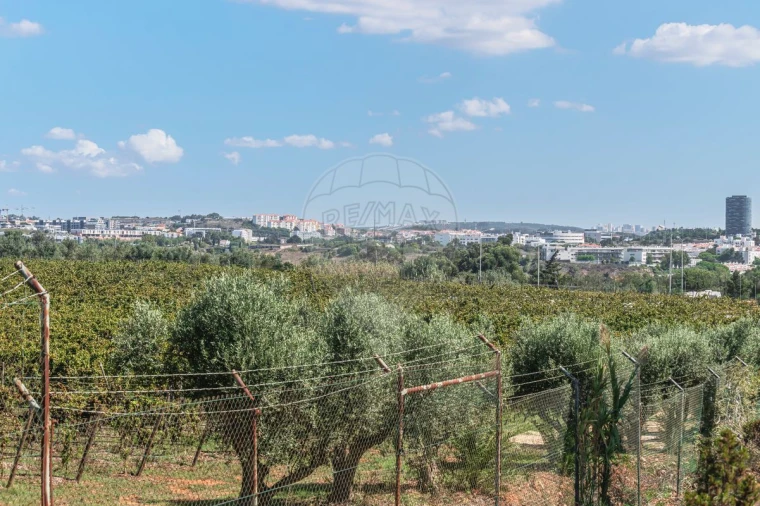 Moradia T4 para Venda em Carcavelos e Parede Foto 39