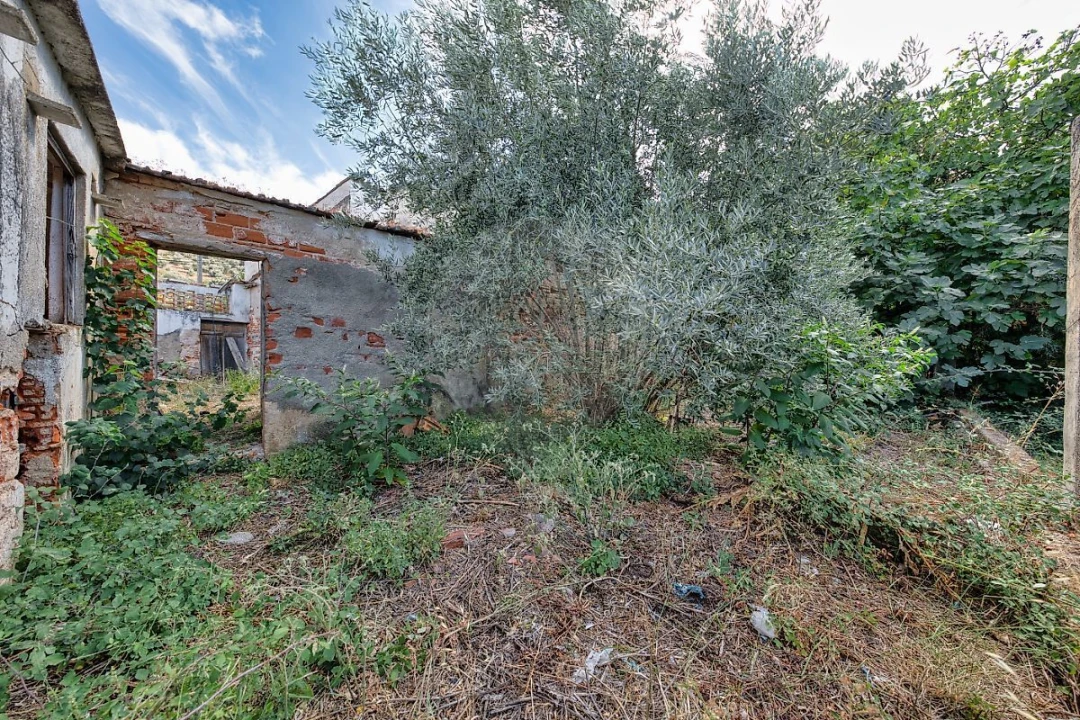 Armazém para Venda em Abrantes (São Vicente e São João) e Alferrarede Foto 8