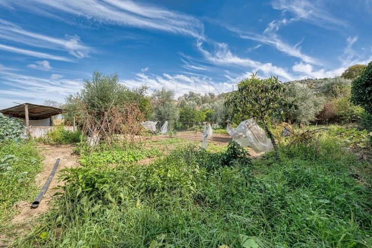 Armazém para Venda em Abrantes (São Vicente e São João) e Alferrarede Foto 19