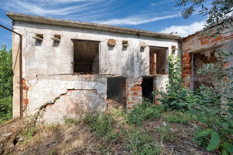 Armazém para Venda em Abrantes (São Vicente e São João) e Alferrarede Foto 3