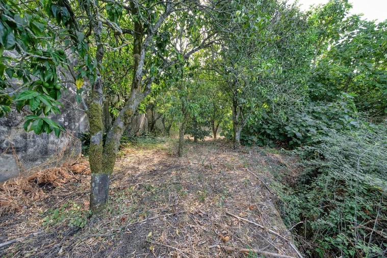 Armazém para Venda em Abrantes (São Vicente e São João) e Alferrarede Foto 11