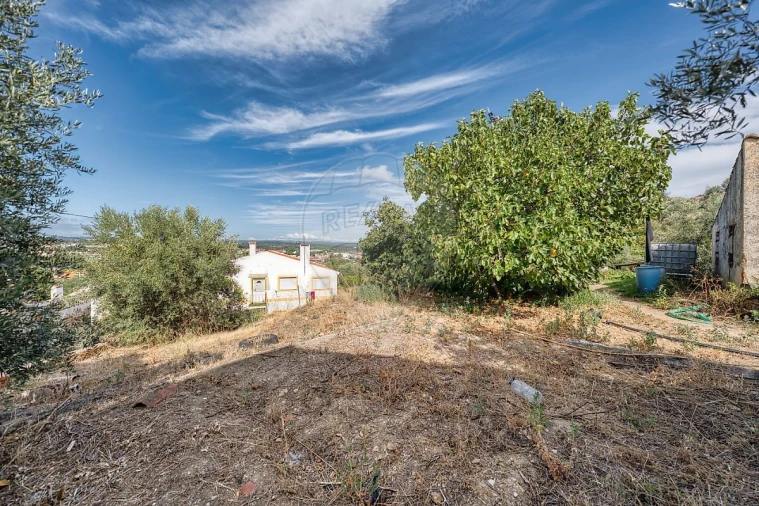 Armazém para Venda em Abrantes (São Vicente e São João) e Alferrarede Foto 14