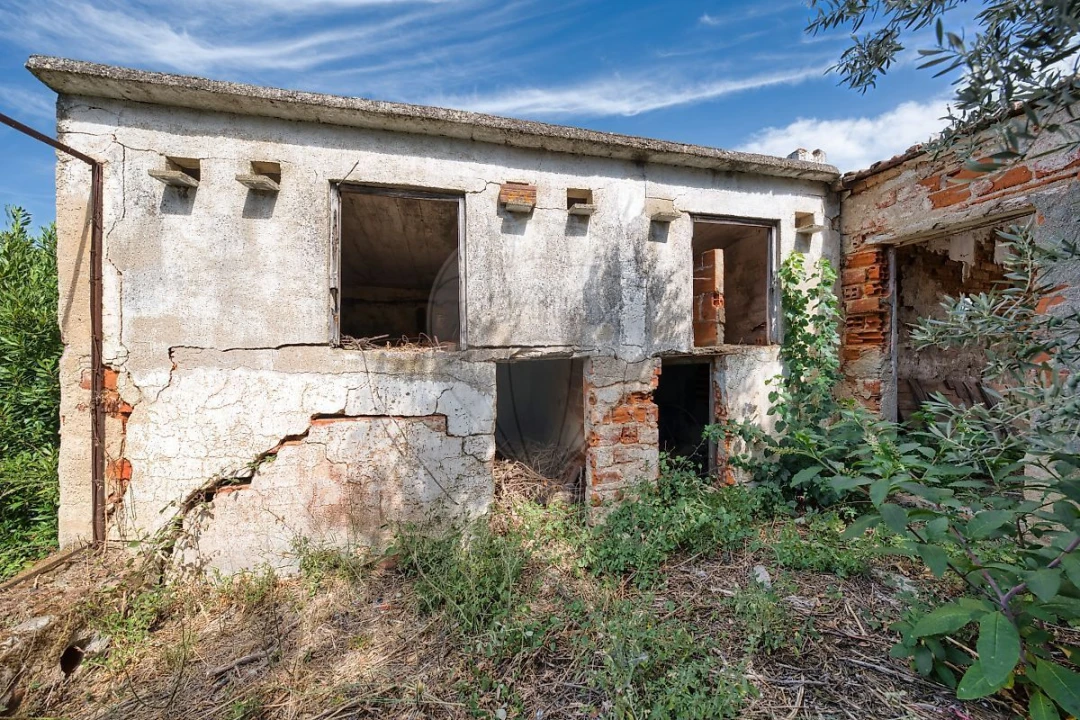 Armazém para Venda em Abrantes (São Vicente e São João) e Alferrarede Foto 3