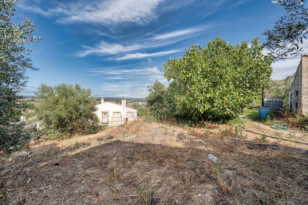 Armazém para Venda em Abrantes (São Vicente e São João) e Alferrarede Foto 14