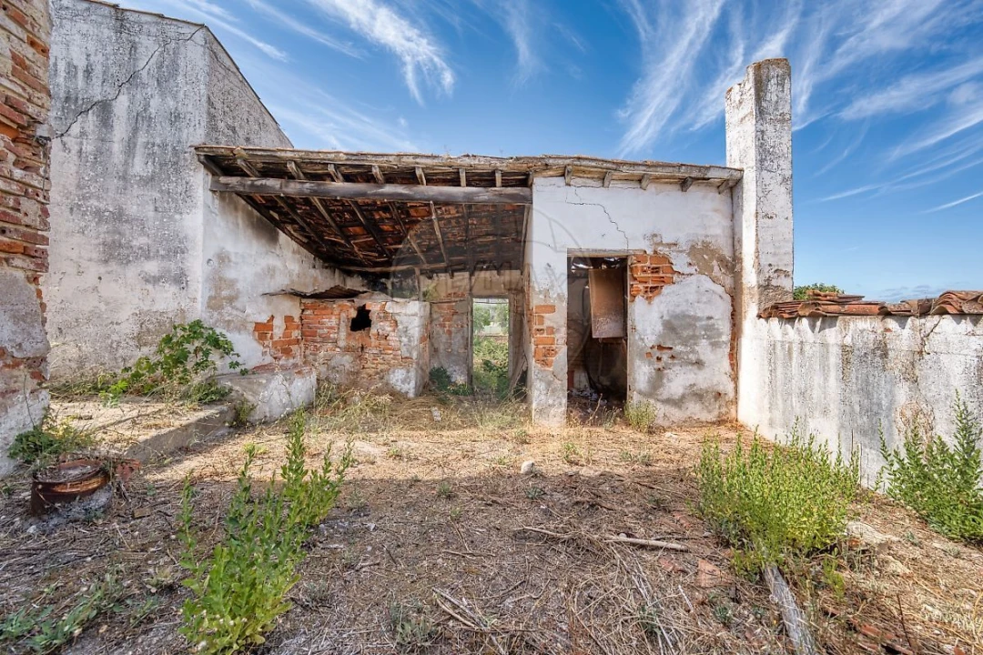 Armazém para Venda em Abrantes (São Vicente e São João) e Alferrarede Foto 7