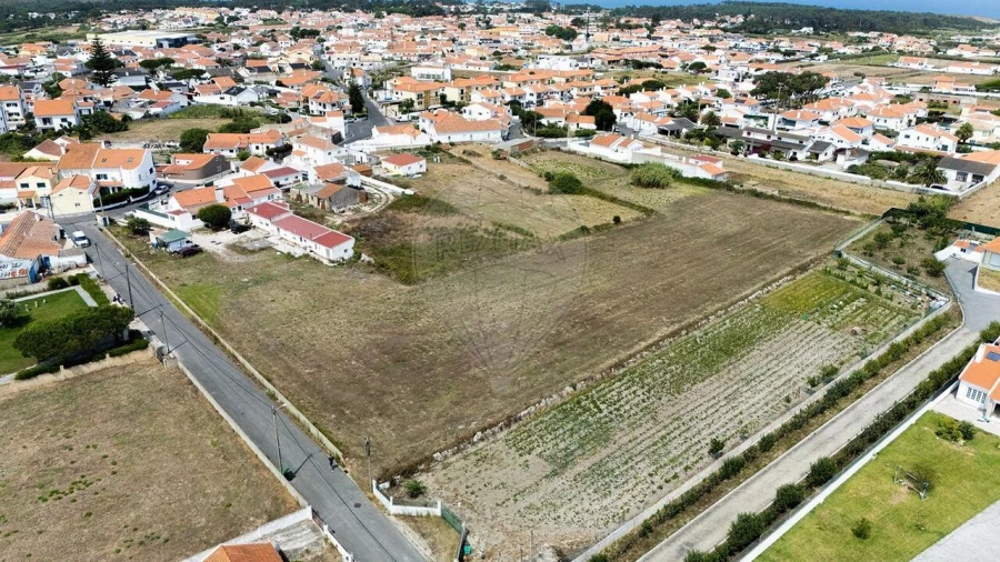 Terreno para Venda em São João das Lampas e Terrugem Foto 2