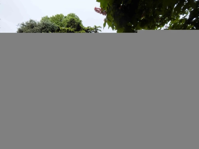 Apartamento T2 para Venda em Santo António Foto 16