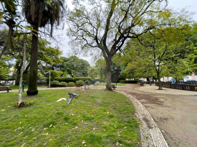 Apartamento T2 para Venda em Santo António Foto 19