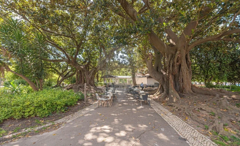 Apartamento T2 para Venda em Santo António Foto 12