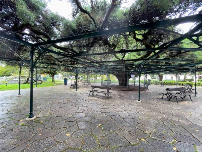 Apartamento T2 para Venda em Santo António Foto 17