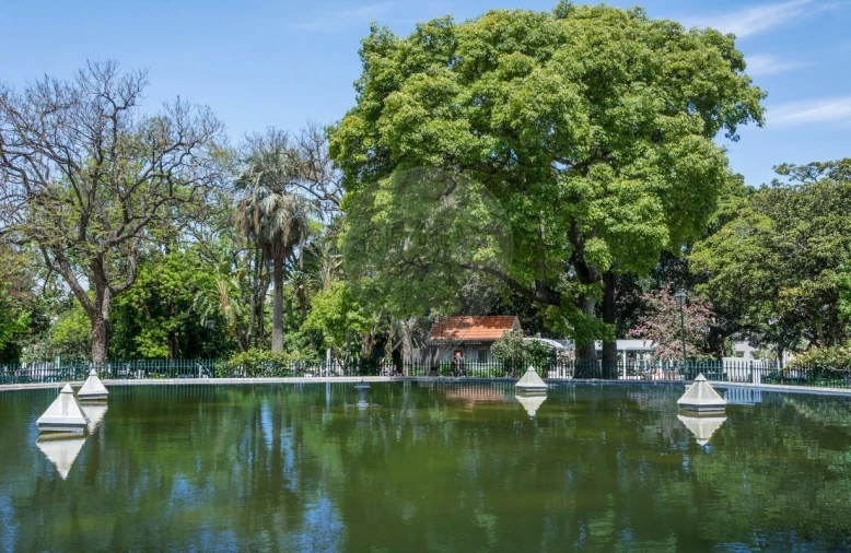 Apartamento T2 para Venda em Santo António Foto 11
