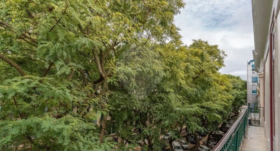 Apartamento T5 para Venda em Avenidas Novas Foto 31