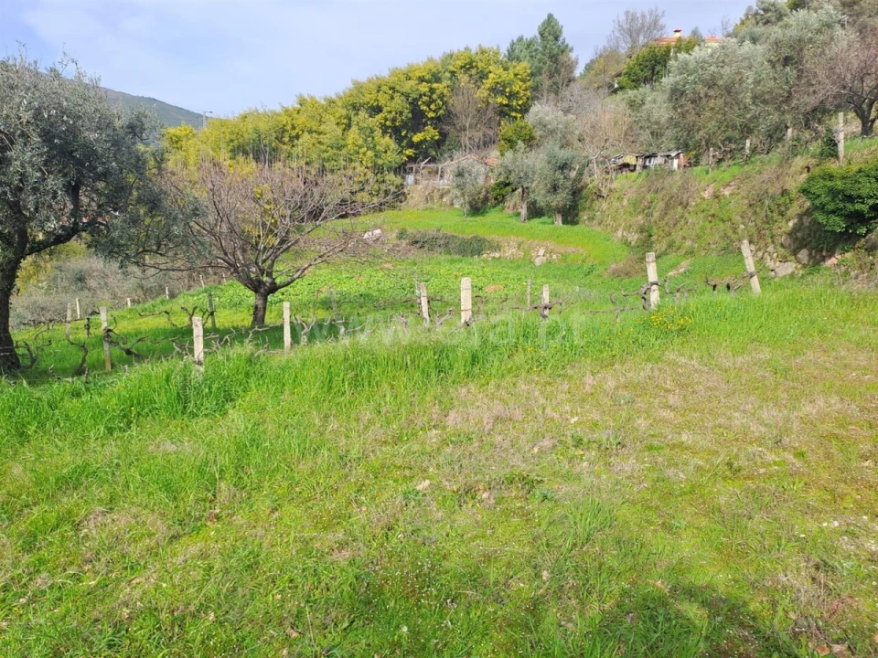 Terreno para Venda em Teixoso e Sarzedo Foto 15