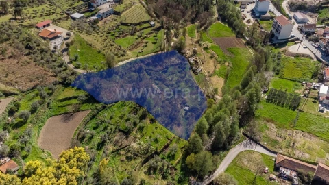 Terreno para Venda em Teixoso e Sarzedo