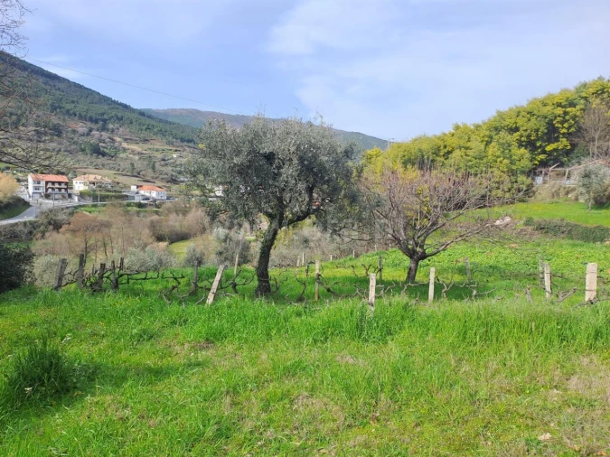 Terreno para Venda em Teixoso e Sarzedo Foto 17