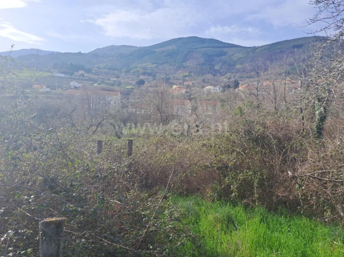 Terreno para Venda em Teixoso e Sarzedo Foto 16