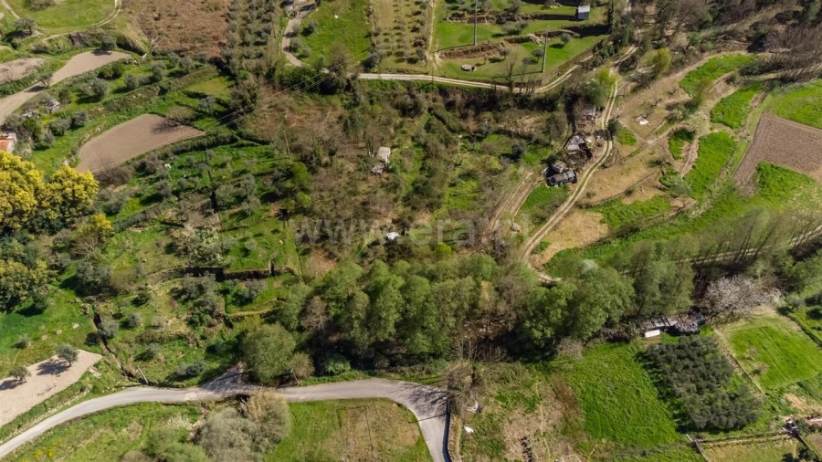 Terreno para Venda em Teixoso e Sarzedo Foto 3