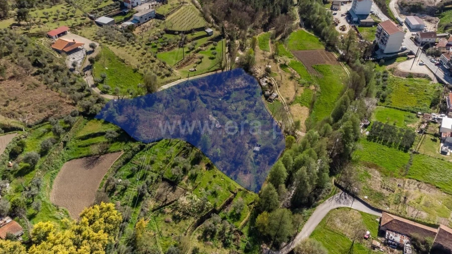 Terreno para Venda em Teixoso e Sarzedo