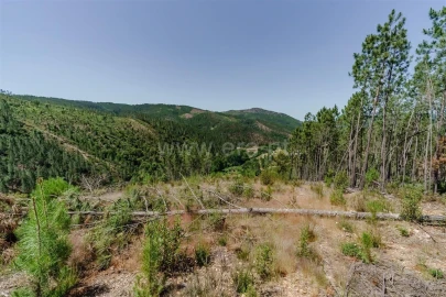 Quinta T3 para Venda em Janeiro de Cima e Bogas de Baixo