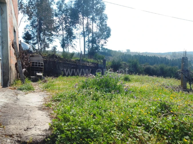 Quinta T3 para Venda em Janeiro de Cima e Bogas de Baixo Foto 2