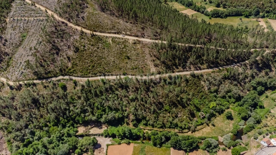 Quinta T3 para Venda em Janeiro de Cima e Bogas de Baixo Foto 18