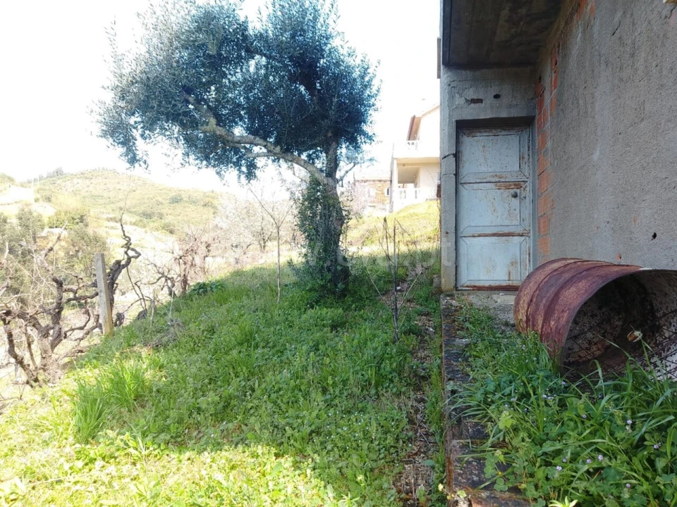 Quinta T3 para Venda em Janeiro de Cima e Bogas de Baixo Foto 20