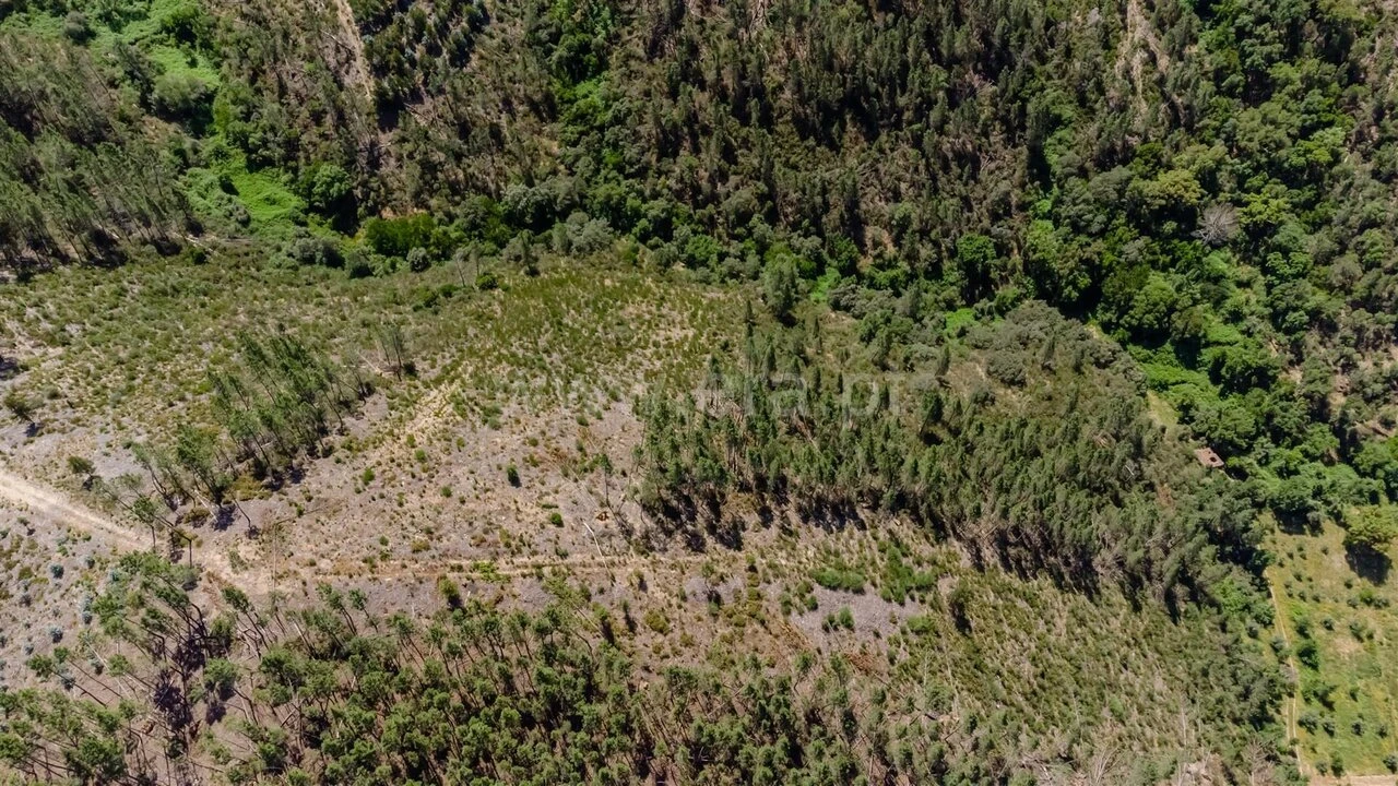 Quinta T3 para Venda em Janeiro de Cima e Bogas de Baixo Foto 19