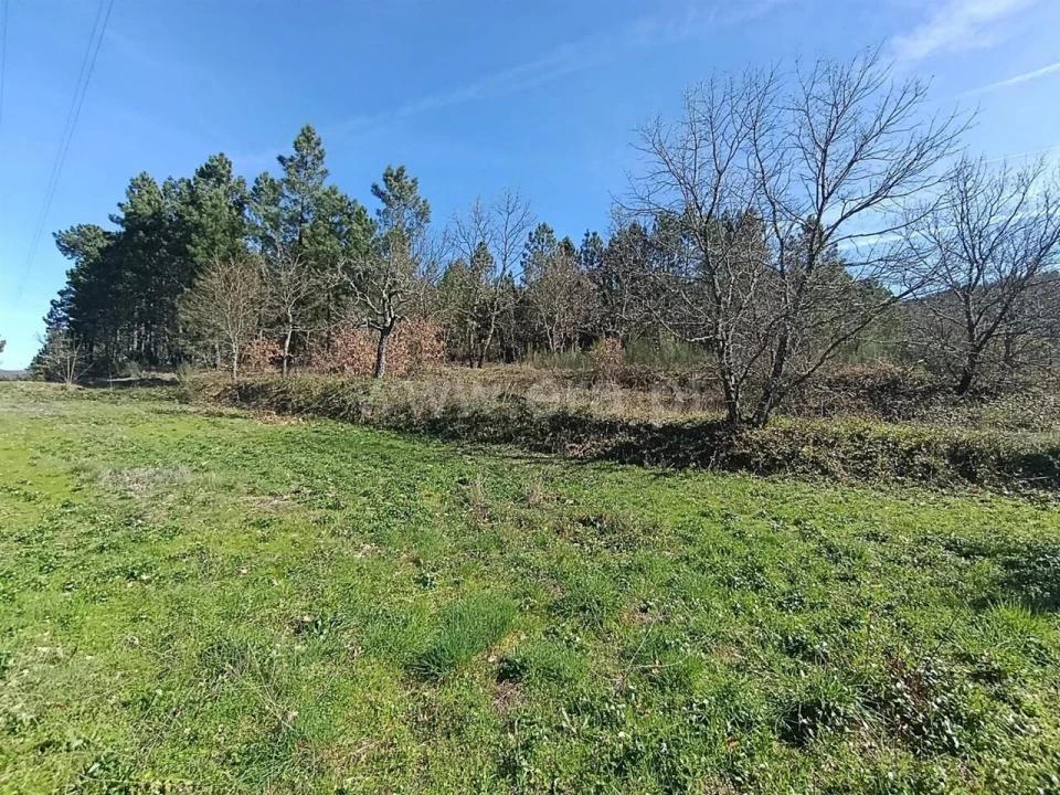 Terreno para Venda em Belmonte e Colmeal da Torre Foto 4