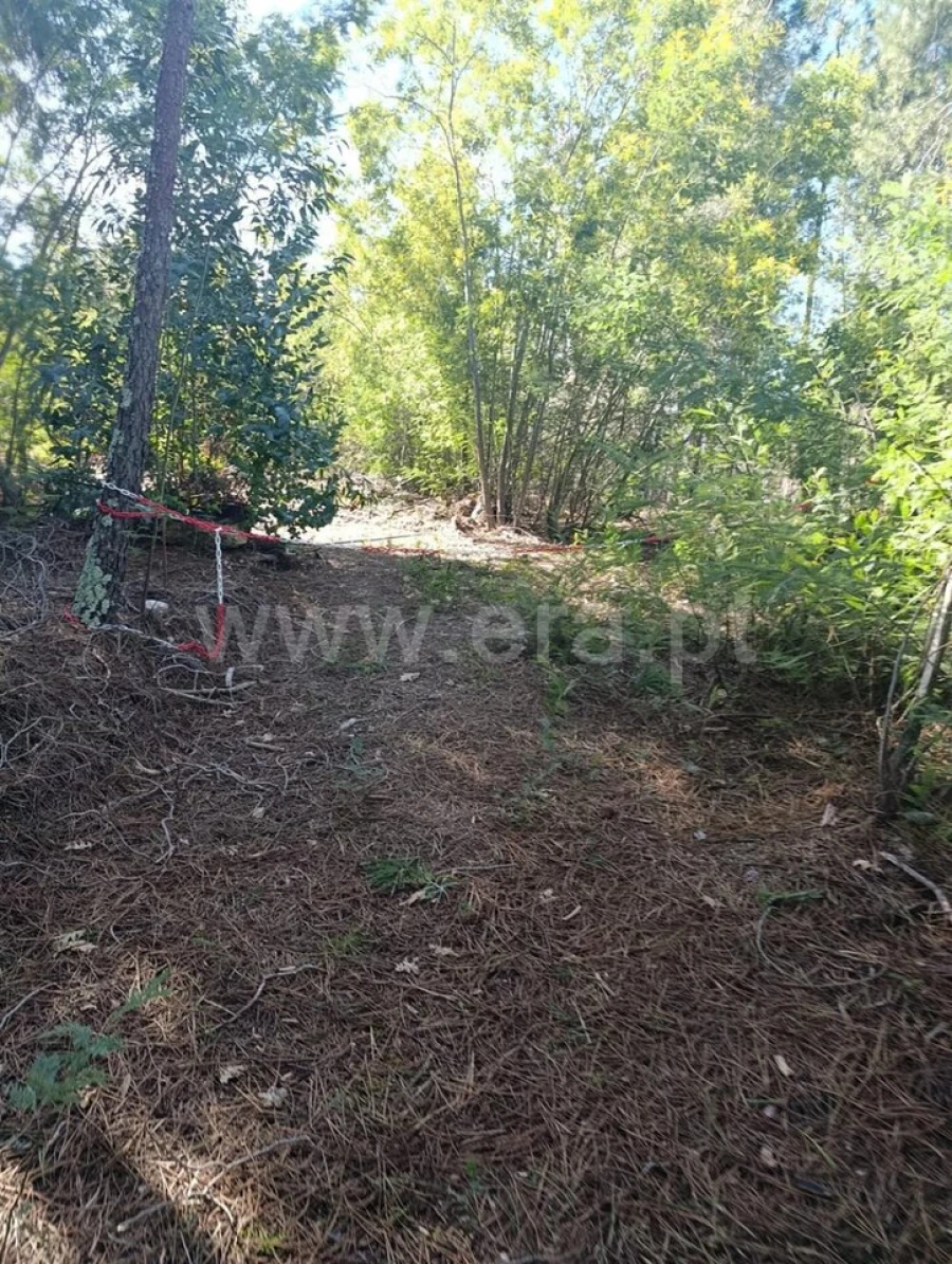 Terreno para Venda em Belmonte e Colmeal da Torre Foto 8